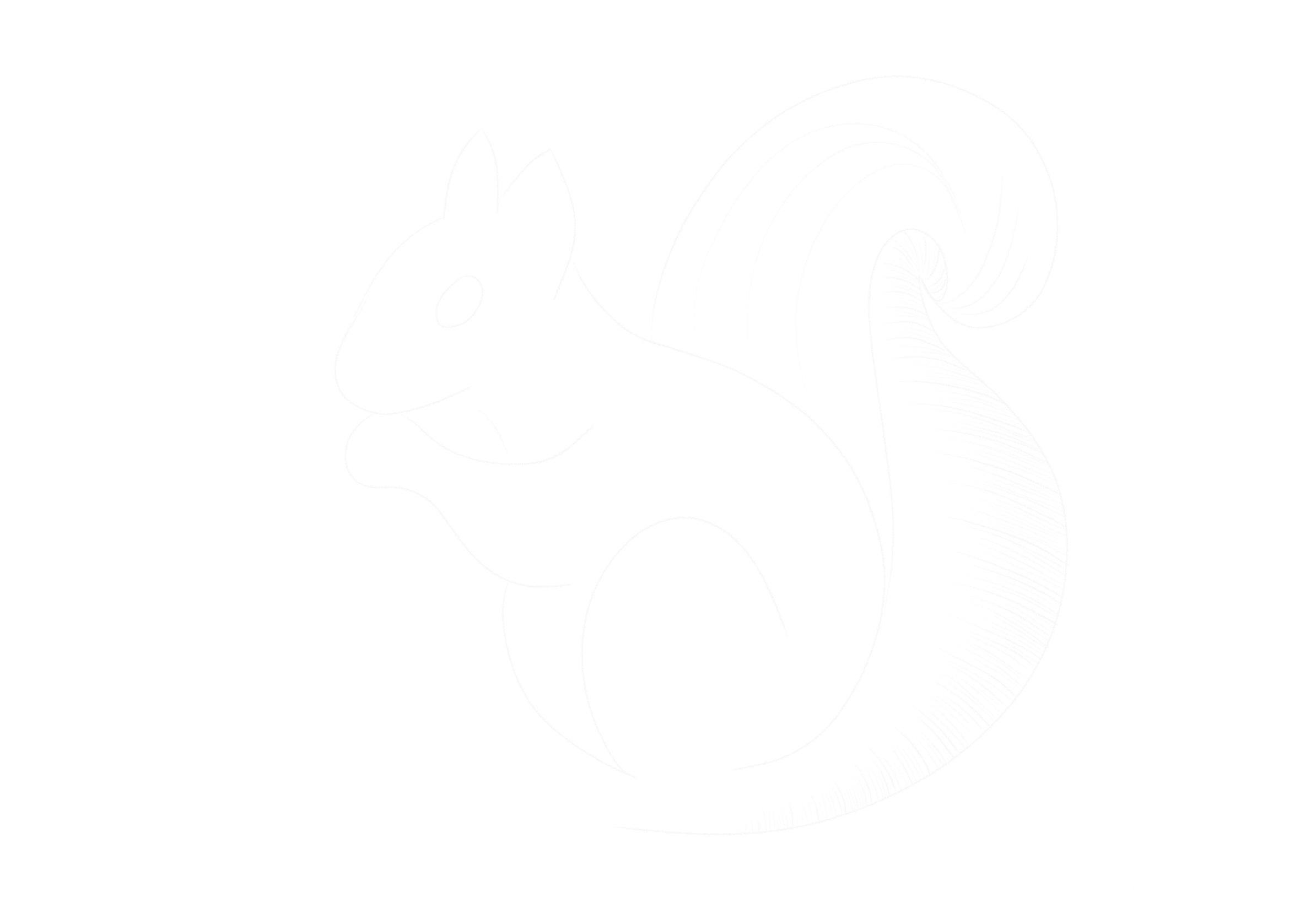 Pencil drawing of a squirrel (if you know, you know)